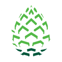 Pinecone Research logo